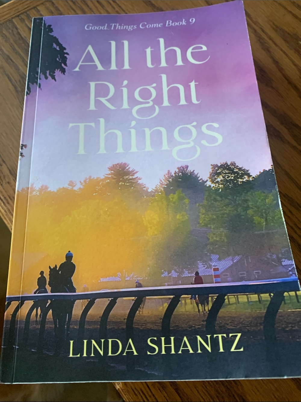 All the Right Things Book #9